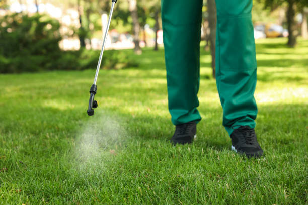 Flea Control Services in Carlisle, PA